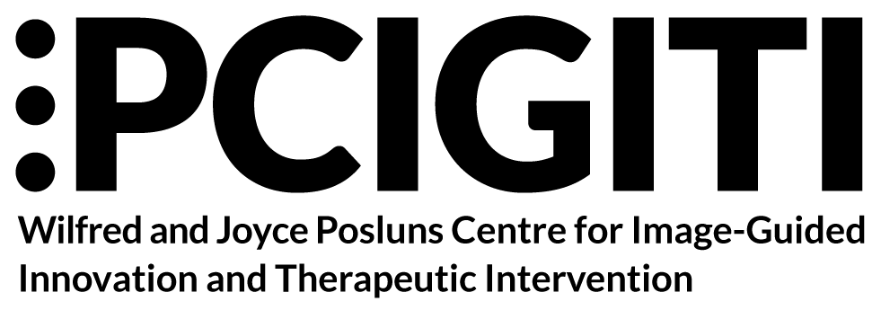 PCIGITI logo